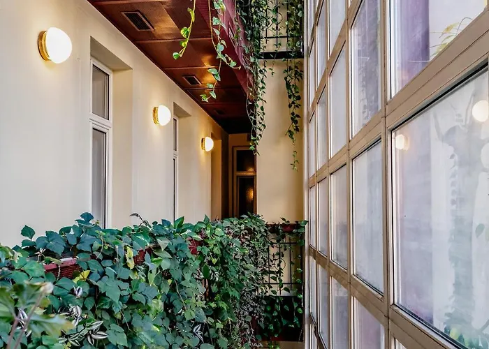 伊丽莎白旧城旅馆 酒店 3*